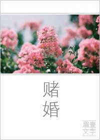 赌婚/鲜肉计划