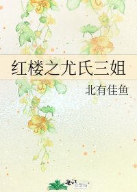 红楼之尤氏三姐