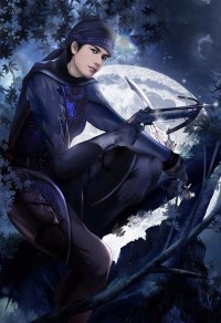 龙跃云裳传