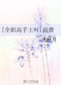 （全職同人）[全職高手王葉]浪費
