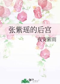 張紫瑤的後宮